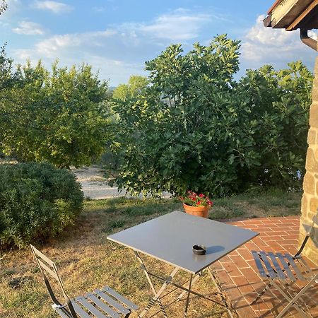 Agriturismo Sant'Angelo Holiday Farm Gualdo Cattaneo Εξωτερικό φωτογραφία